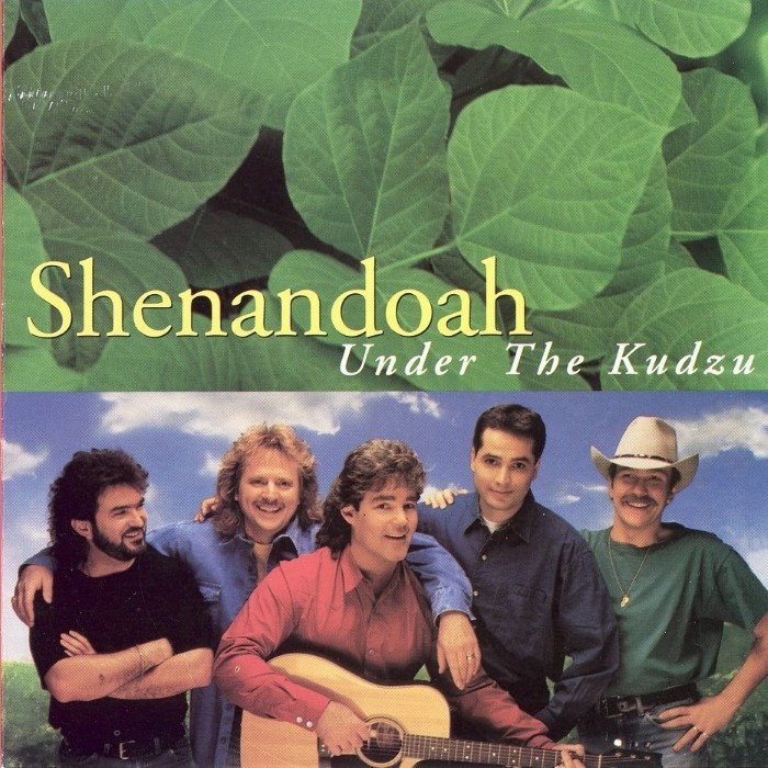 Under the Kudzu cover