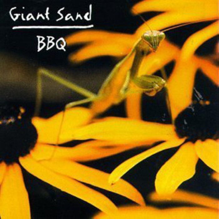 Backyard Barbecue Broadcast cover