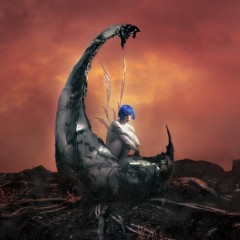 Album Thumb
