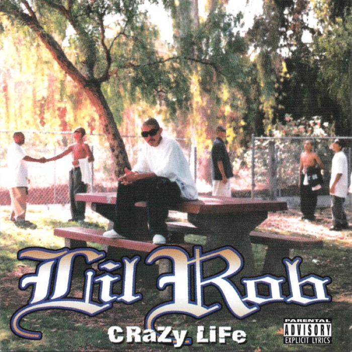 Crazy Life cover