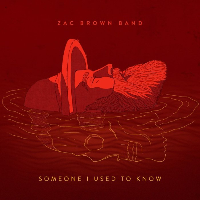 Someone I Used To Know cover