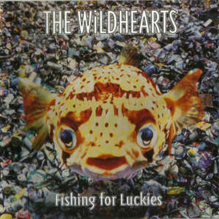 Fishing for Luckies cover