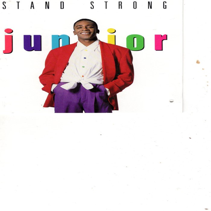 Stand Strong cover