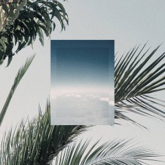 Album Thumb