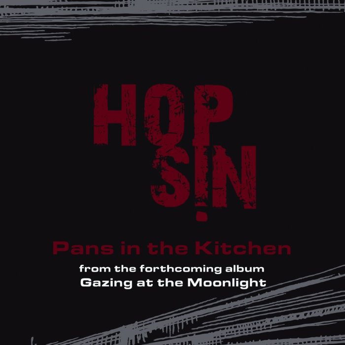 Pans in the Kitchen cover