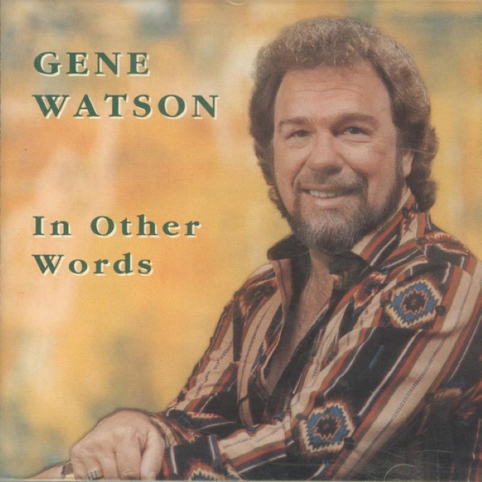 In Other Words cover
