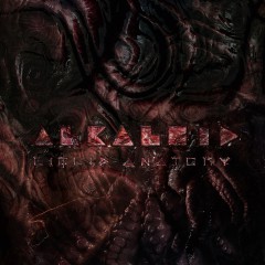 Album Thumb