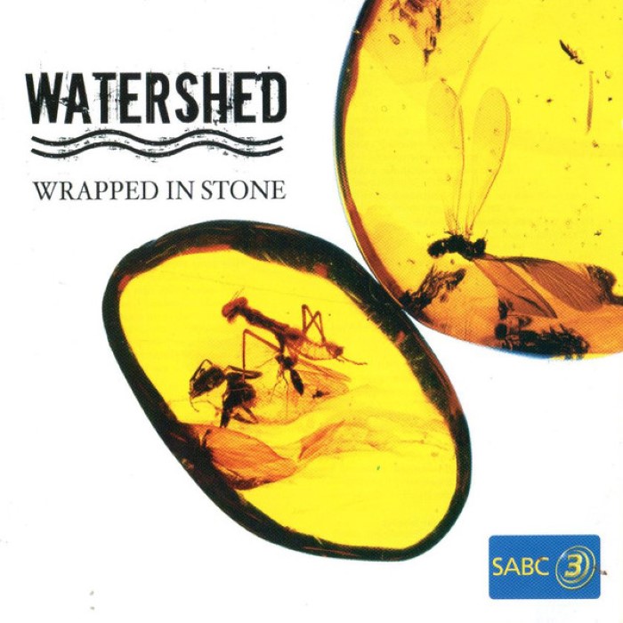 Wrapped in Stone cover
