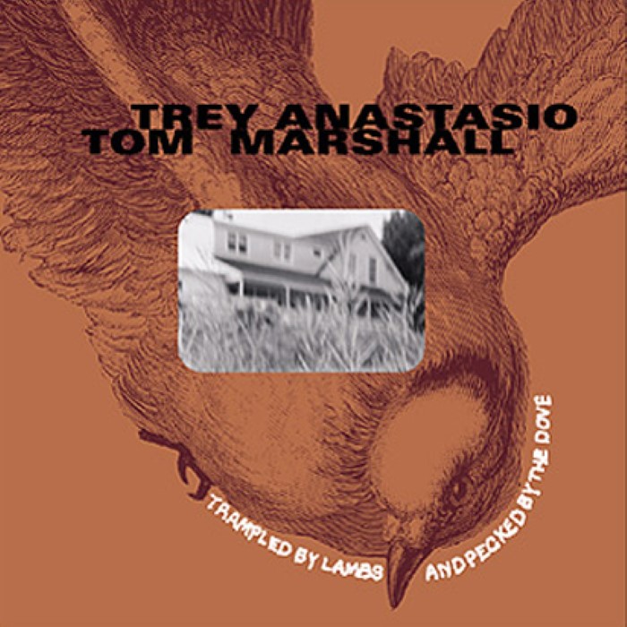 Trampled By Lambs And Pecked By The Doves cover
