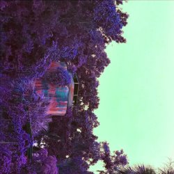 Album Thumb