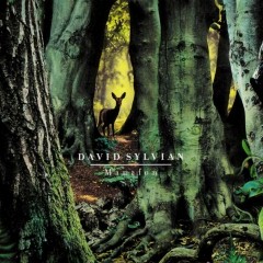 Cover Present album thumb