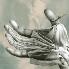 Album Thumb