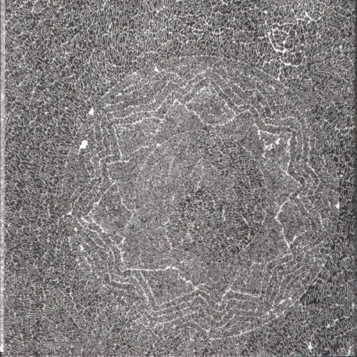 Poppy Nogood and the Phantom Band "All Night Flight" album thumb