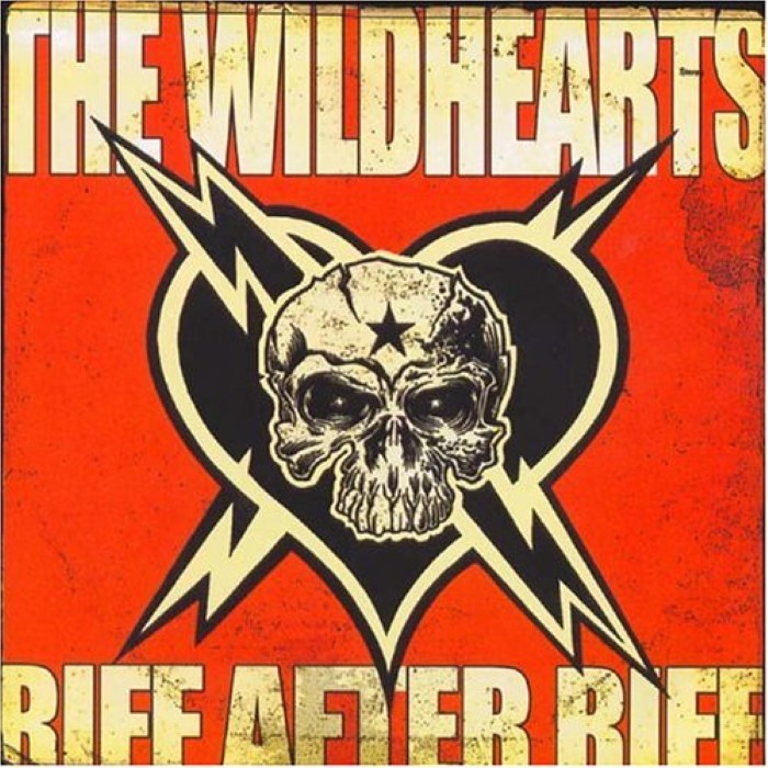 Riff After Riff After Motherfucking Riff cover