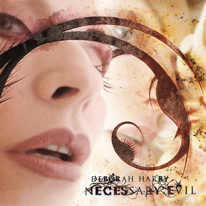 Necessary Evil cover