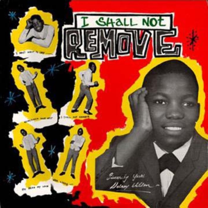 I Shall Not Remove cover