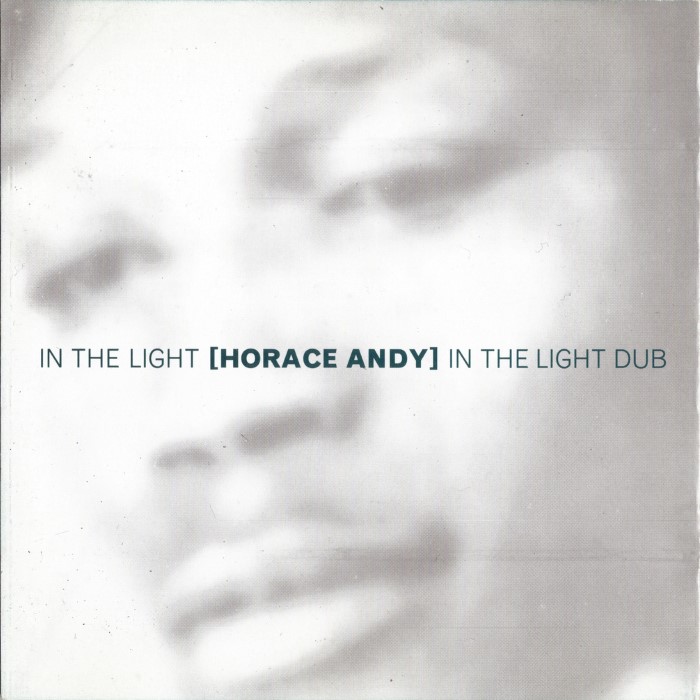 In the Light / In the Light Dub cover