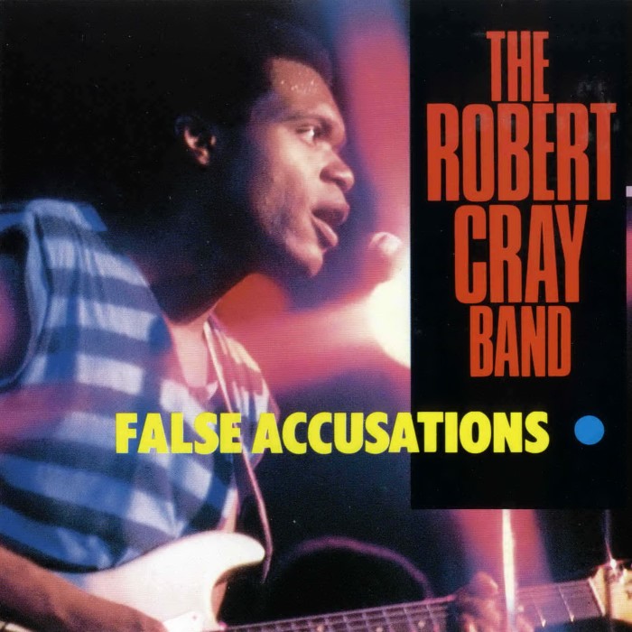 The Robert Cray Band - False Accusations Vinyl Cover