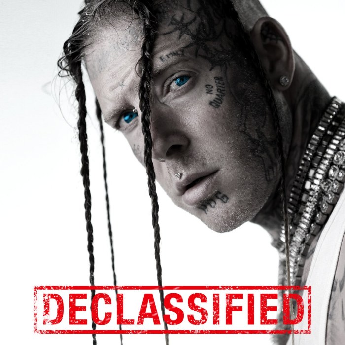 Declassified cover