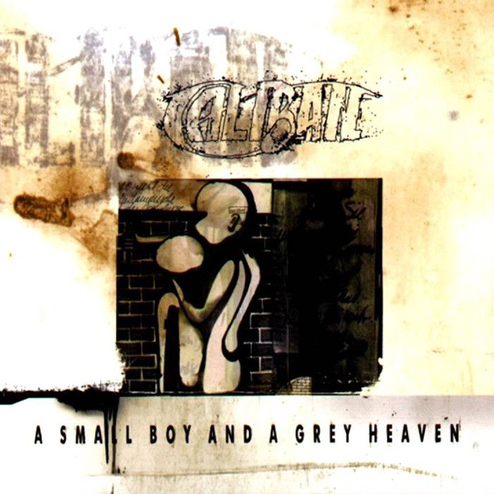 A Small Boy and a Grey Heaven cover