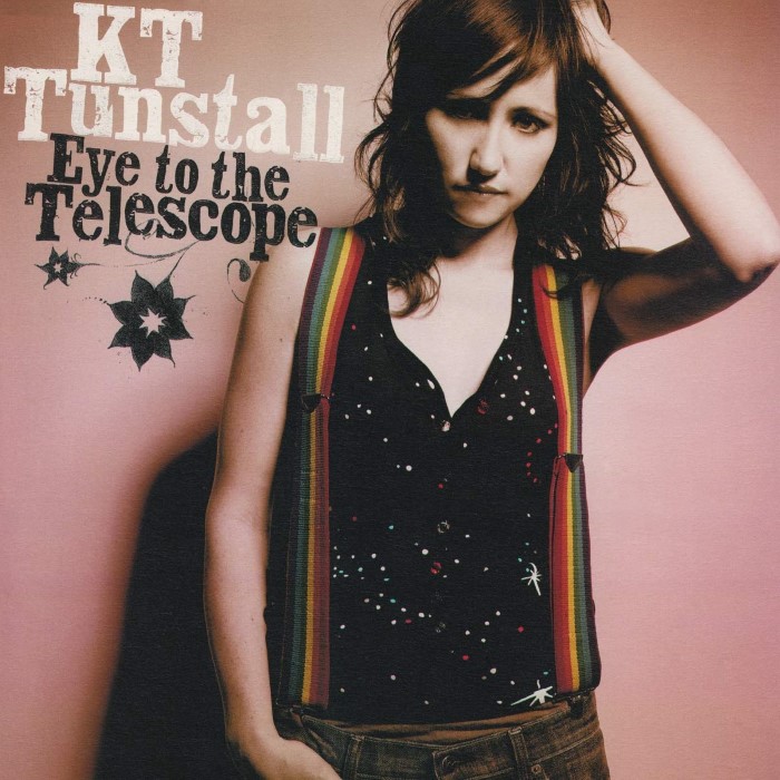 Eye to the Telescope