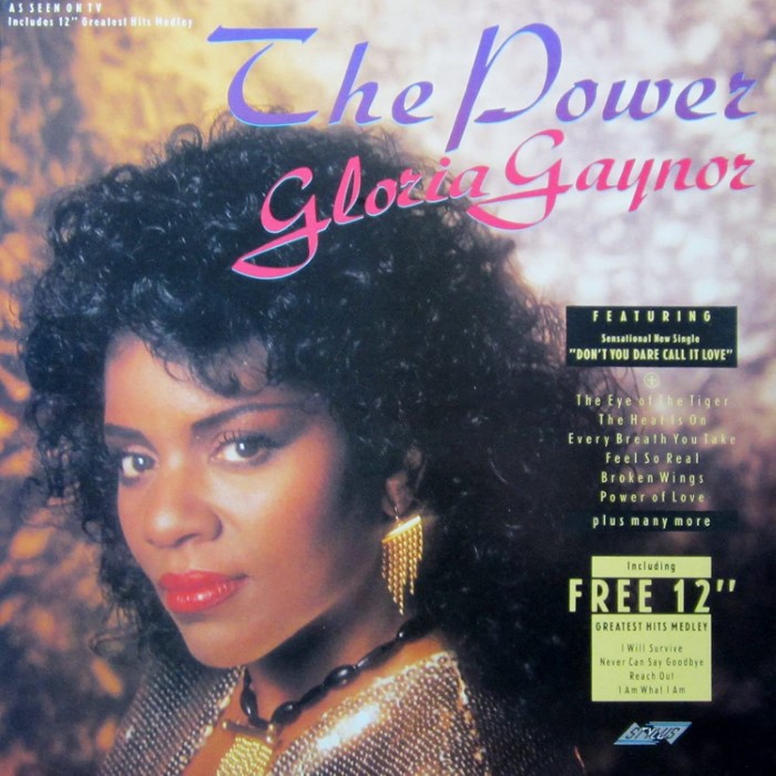 The Power of Gloria Gaynor cover