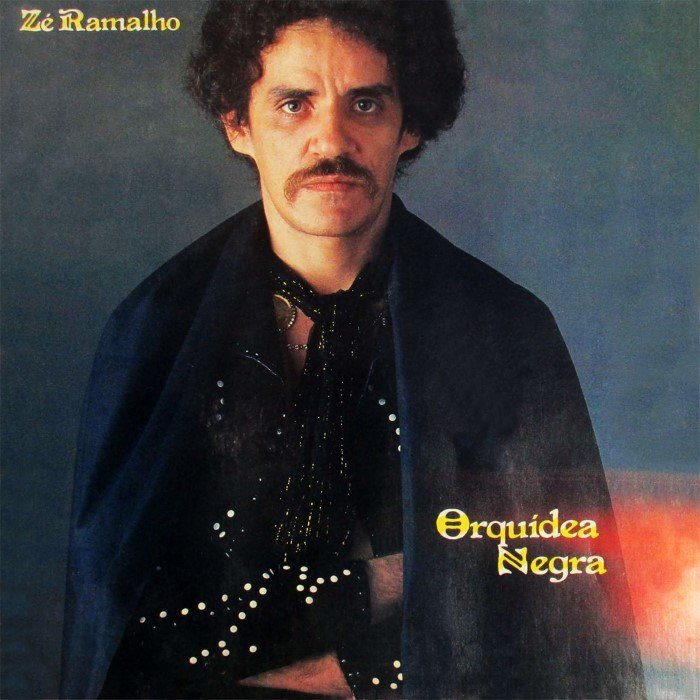 Orquídea negra cover