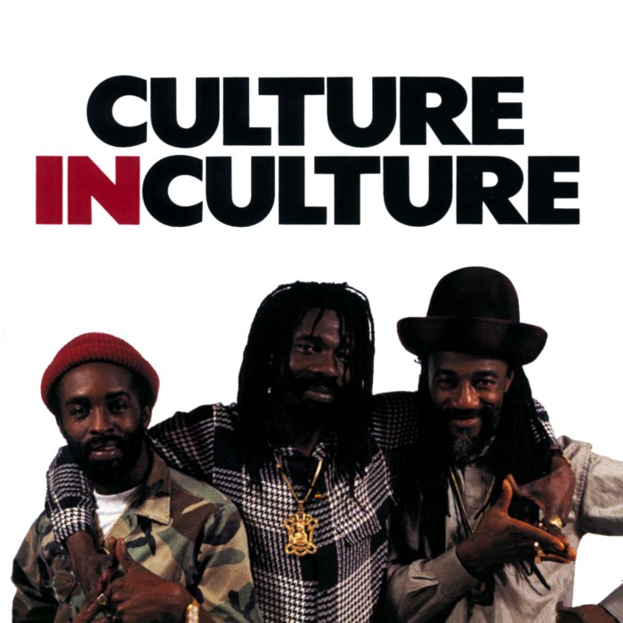 In Culture cover