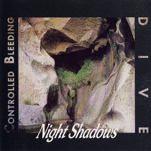 Night Shadows album thumb