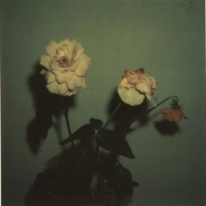 Give Me My Flowers While I Can Smell Them cover