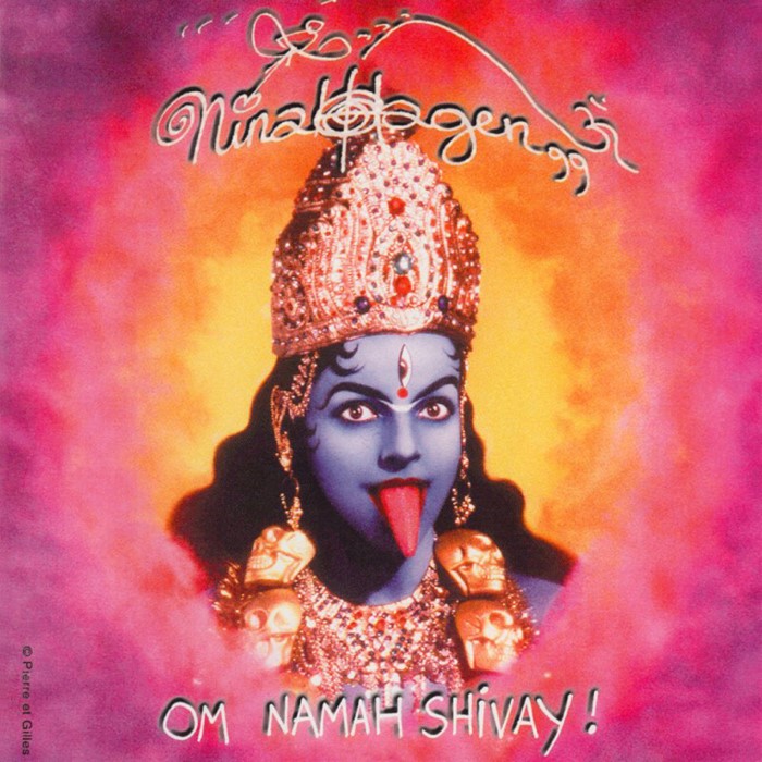 Om Namah Shivay! cover