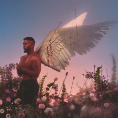 Album Thumb