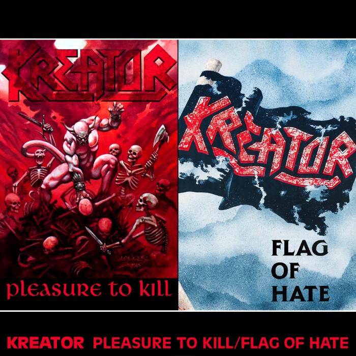 Pleasure to Kill / Flag of Hate cover