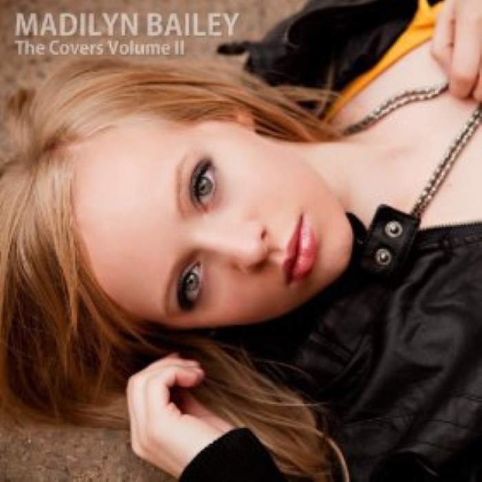 The Covers, Volume 2 cover