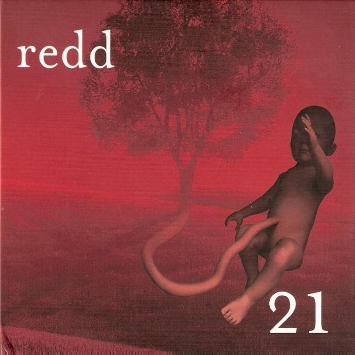 21 cover
