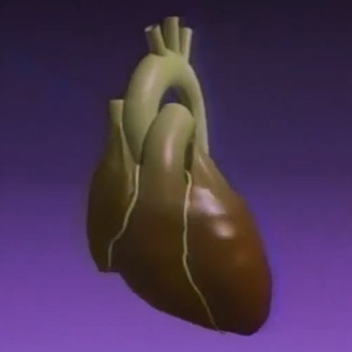 album thumb
