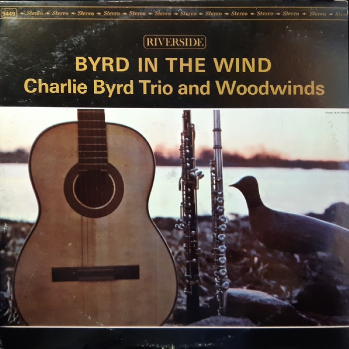 Byrd in the Wind
