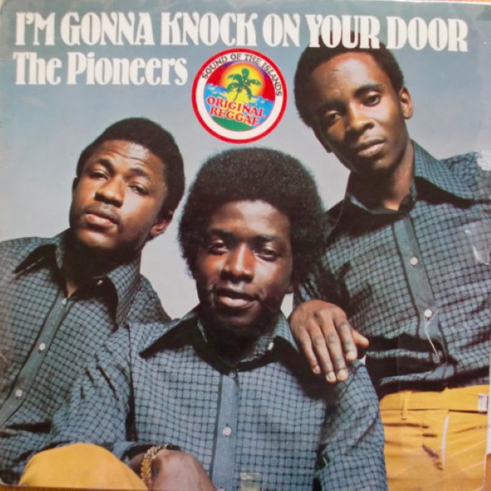 I'm Gonna Knock on Your Door cover