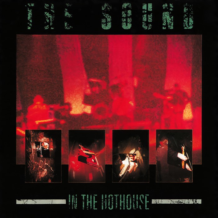 In the Hothouse cover