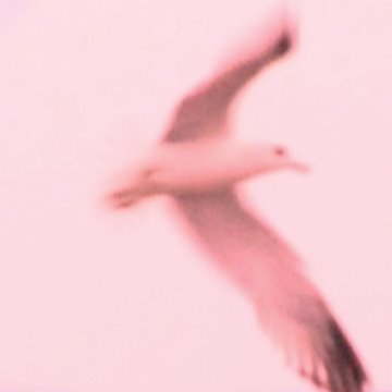 album thumb