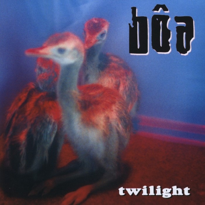 Cover of Twilight