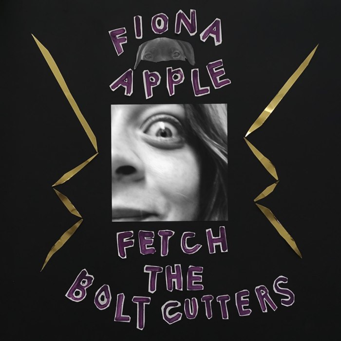 Cover of Fetch the Bolt Cutters