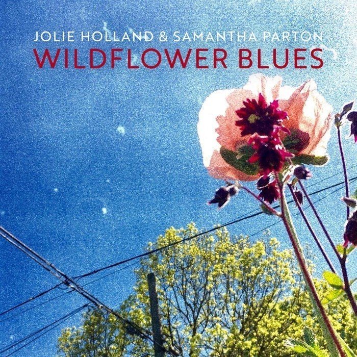 Wildflower Blues cover