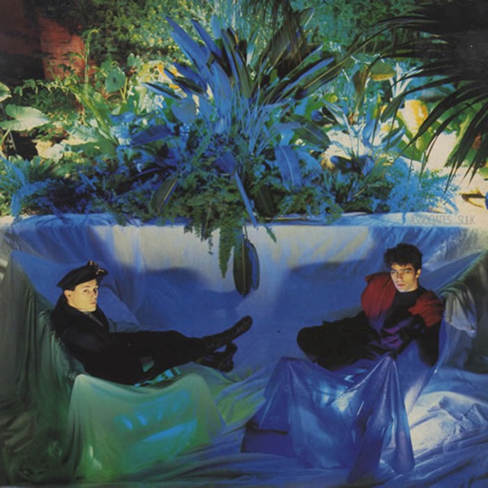 Sulk cover