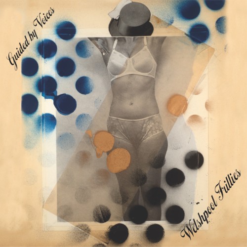 Welshpool Frillies album thumb