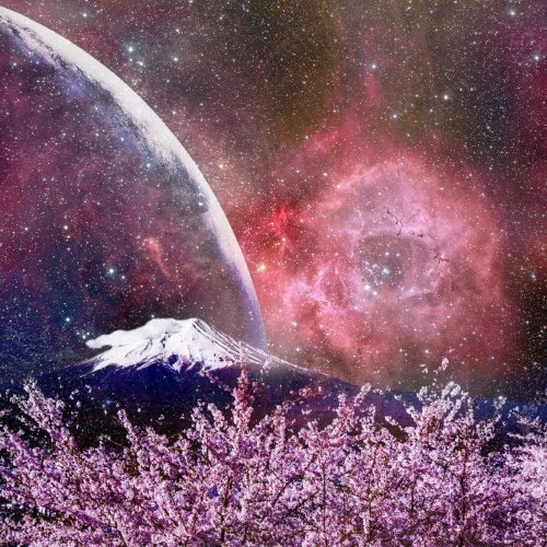 Lucid Dreaming Transcendence album thumb