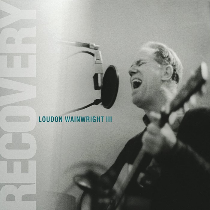 Recovery cover
