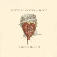 Album Thumb