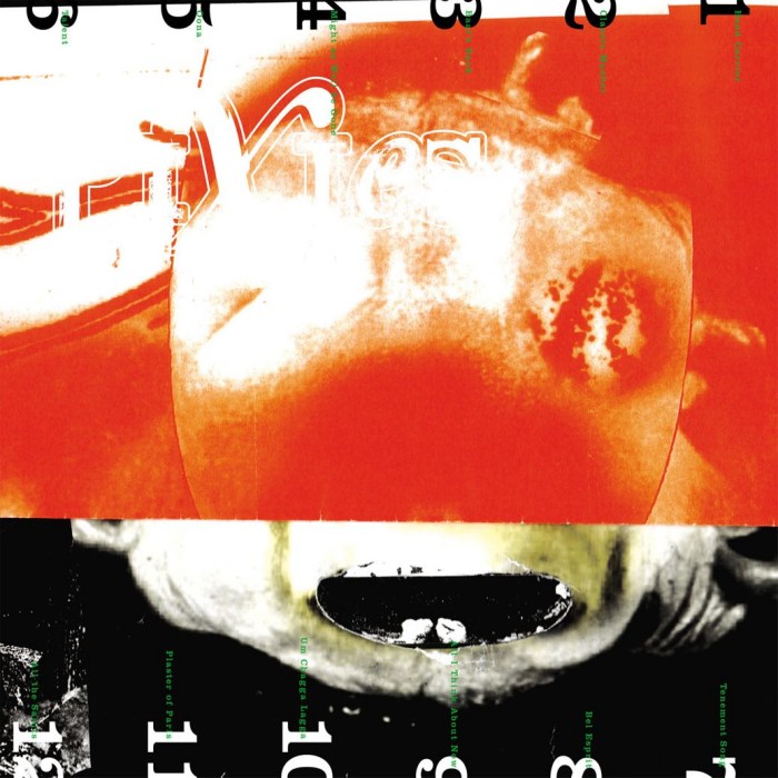 Pixies - Head Carrier Vinyl Cover