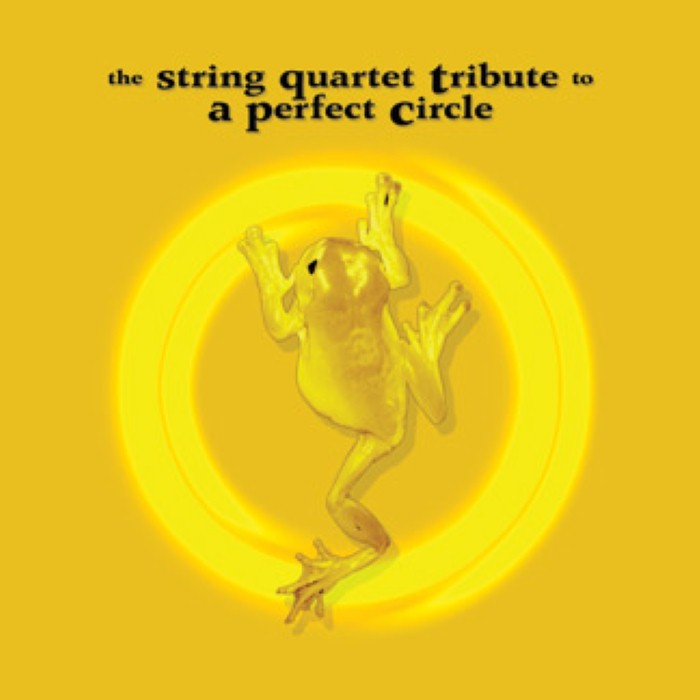 The String Quartet Tribute to A Perfect Circle cover